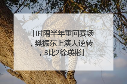 时隔半年重回赛场，樊振东上演大逆转，3比2徐瑛彬