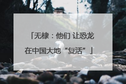 无棣：他们 让恐龙在中国大地“复活”