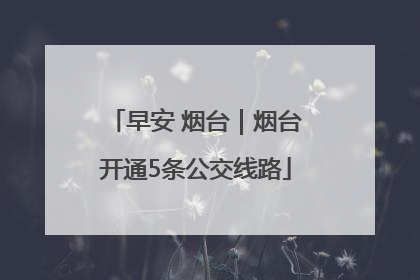 早安 烟台｜烟台开通5条公交线路
