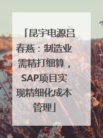 昆宇电源吕春燕：制造业需精打细算，SAP项目实现精细化成本管理