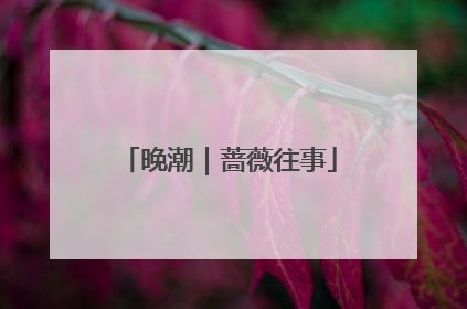 晚潮｜蔷薇往事