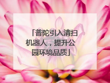 普陀引入清扫机器人，提升公园环境品质