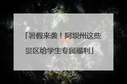 暑假来袭！阿坝州这些景区给学生专属福利