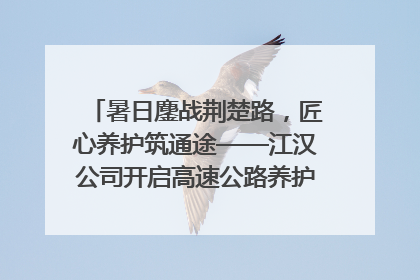 暑日鏖战荆楚路，匠心养护筑通途——江汉公司开启高速公路养护专项工程建设热潮