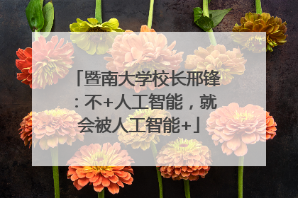 暨南大学校长邢锋：不+人工智能，就会被人工智能+