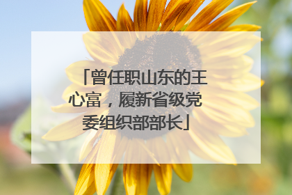 曾任职山东的王心富，履新省级党委组织部部长