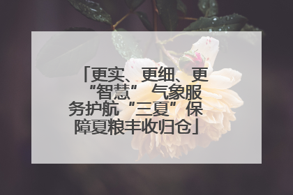 更实、更细、更“智慧” 气象服务护航“三夏”保障夏粮丰收归仓