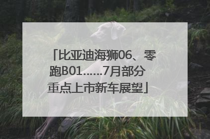 比亚迪海狮06、零跑B01……7月部分重点上市新车展望
