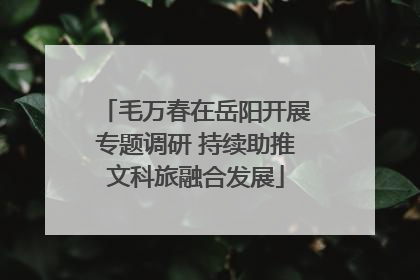 毛万春在岳阳开展专题调研 持续助推文科旅融合发展