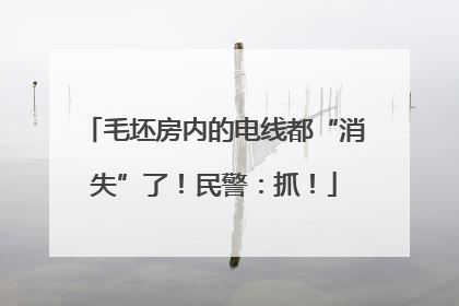 毛坯房内的电线都“消失”了！民警：抓！
