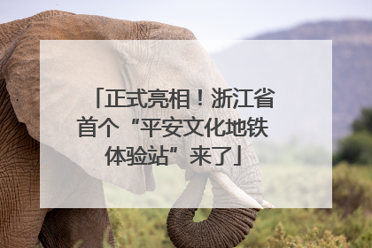 正式亮相！浙江省首个“平安文化地铁体验站”来了