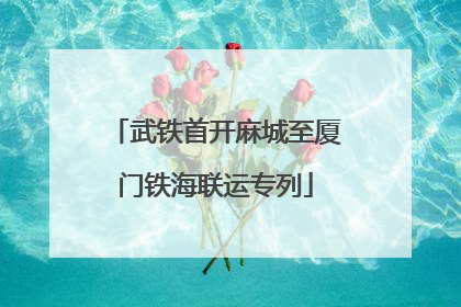 武铁首开麻城至厦门铁海联运专列