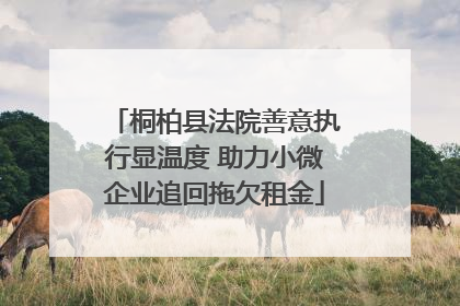 桐柏县法院善意执行显温度 助力小微企业追回拖欠租金