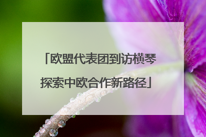 欧盟代表团到访横琴 探索中欧合作新路径