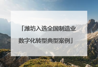 潍坊入选全国制造业数字化转型典型案例