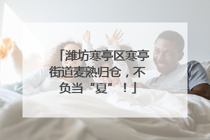 潍坊寒亭区寒亭街道麦熟归仓，不负当“夏”！