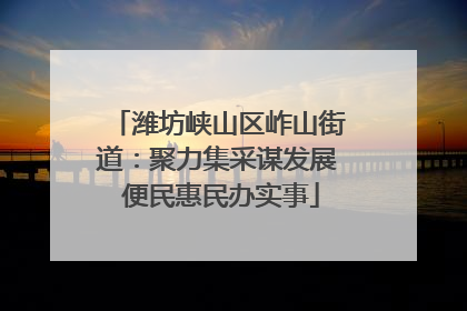潍坊峡山区岞山街道：聚力集采谋发展 便民惠民办实事
