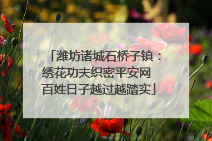 潍坊诸城石桥子镇：绣花功夫织密平安网 百姓日子越过越踏实