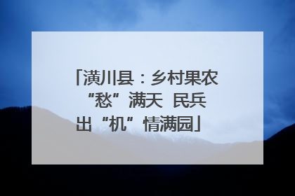 潢川县：乡村果农“愁”满天  民兵出“机”情满园