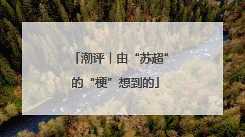 潮评丨由“苏超”的“梗”想到的