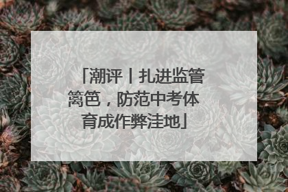 潮评丨扎进监管篱笆，防范中考体育成作弊洼地