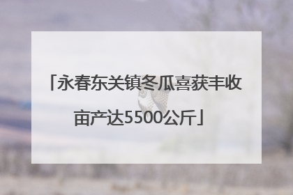 永春东关镇冬瓜喜获丰收 亩产达5500公斤