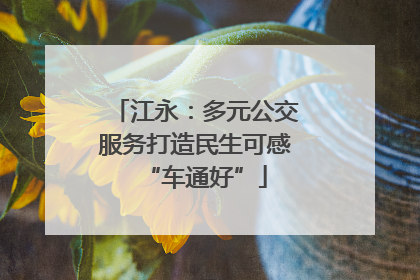 江永：多元公交服务打造民生可感“车通好”