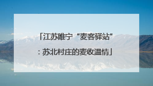 江苏睢宁“麦客驿站”：苏北村庄的麦收温情