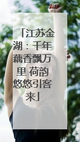 江苏金湖：千年藕香飘万里 荷韵悠悠引客来