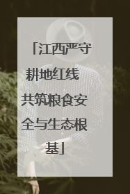 江西严守耕地红线 共筑粮食安全与生态根基