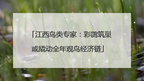 江西鸟类专家：彩鹮筑巢或撬动全年观鸟经济链