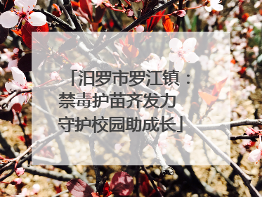 汨罗市罗江镇：禁毒护苗齐发力 守护校园助成长