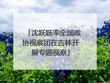 沈跃跃率全国政协视察团在吉林开展专题视察