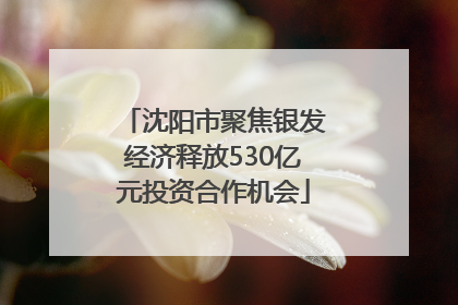 沈阳市聚焦银发经济释放530亿元投资合作机会