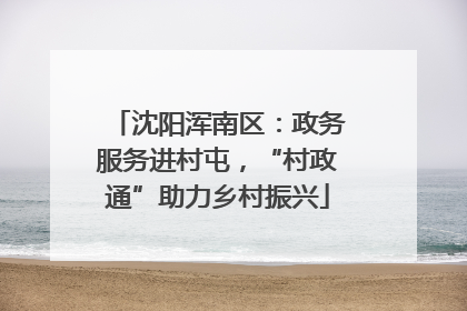 沈阳浑南区：政务服务进村屯，“村政通”助力乡村振兴