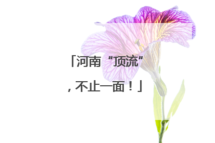 河南“顶流”，不止一面！