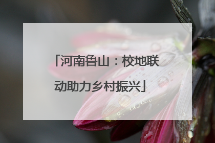 河南鲁山：校地联动助力乡村振兴