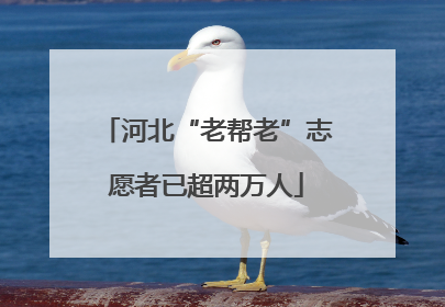 河北“老帮老”志愿者已超两万人