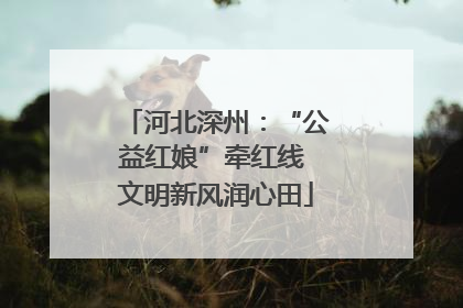 河北深州：“公益红娘”牵红线 文明新风润心田