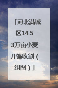 河北满城区14.53万亩小麦开镰收割（组图）