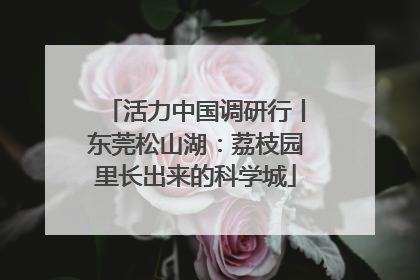 活力中国调研行丨东莞松山湖：荔枝园里长出来的科学城