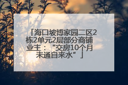 海口坡博家园二区2栋2单元2层部分商铺业主：“交房10个月未通自来水”