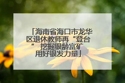 海南省海口市龙华区退休教师再“登台” 挖掘银龄富矿 用好银发力量