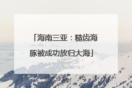 海南三亚：糙齿海豚被成功放归大海