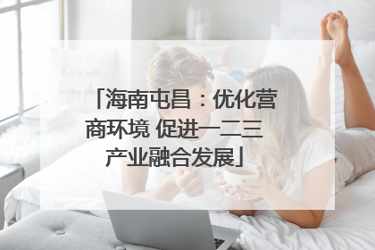 海南屯昌：优化营商环境 促进一二三产业融合发展