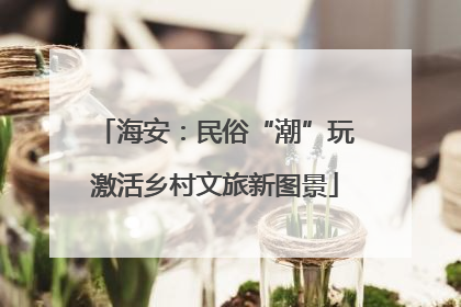 海安：民俗“潮”玩激活乡村文旅新图景