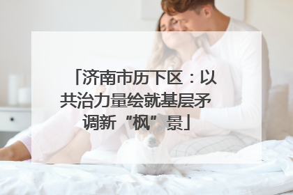 济南市历下区：以共治力量绘就基层矛调新“枫”景