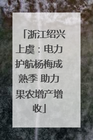 浙江绍兴上虞：电力护航杨梅成熟季 助力果农增产增收