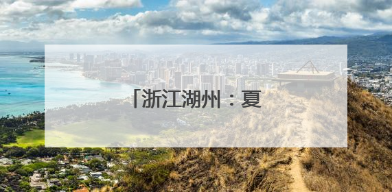 浙江湖州：夏日乡村旅游季