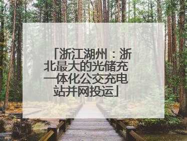 浙江湖州：浙北最大的光储充一体化公交充电站并网投运
